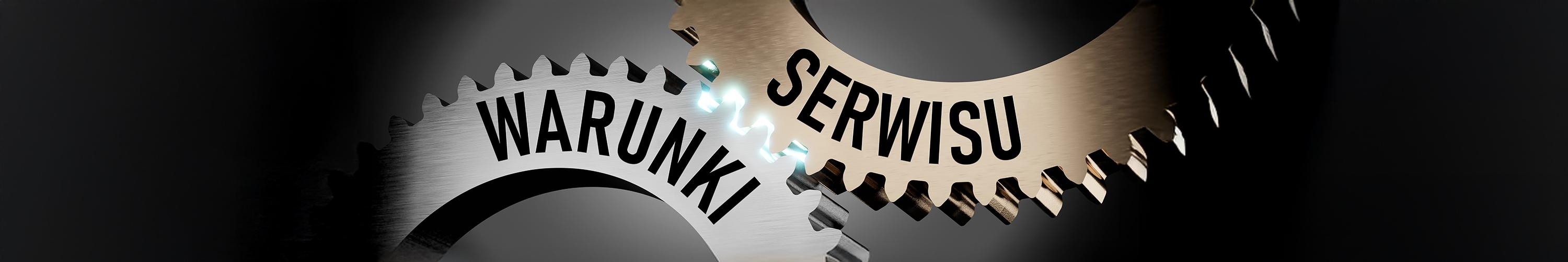 Ogólne warunki serwisu