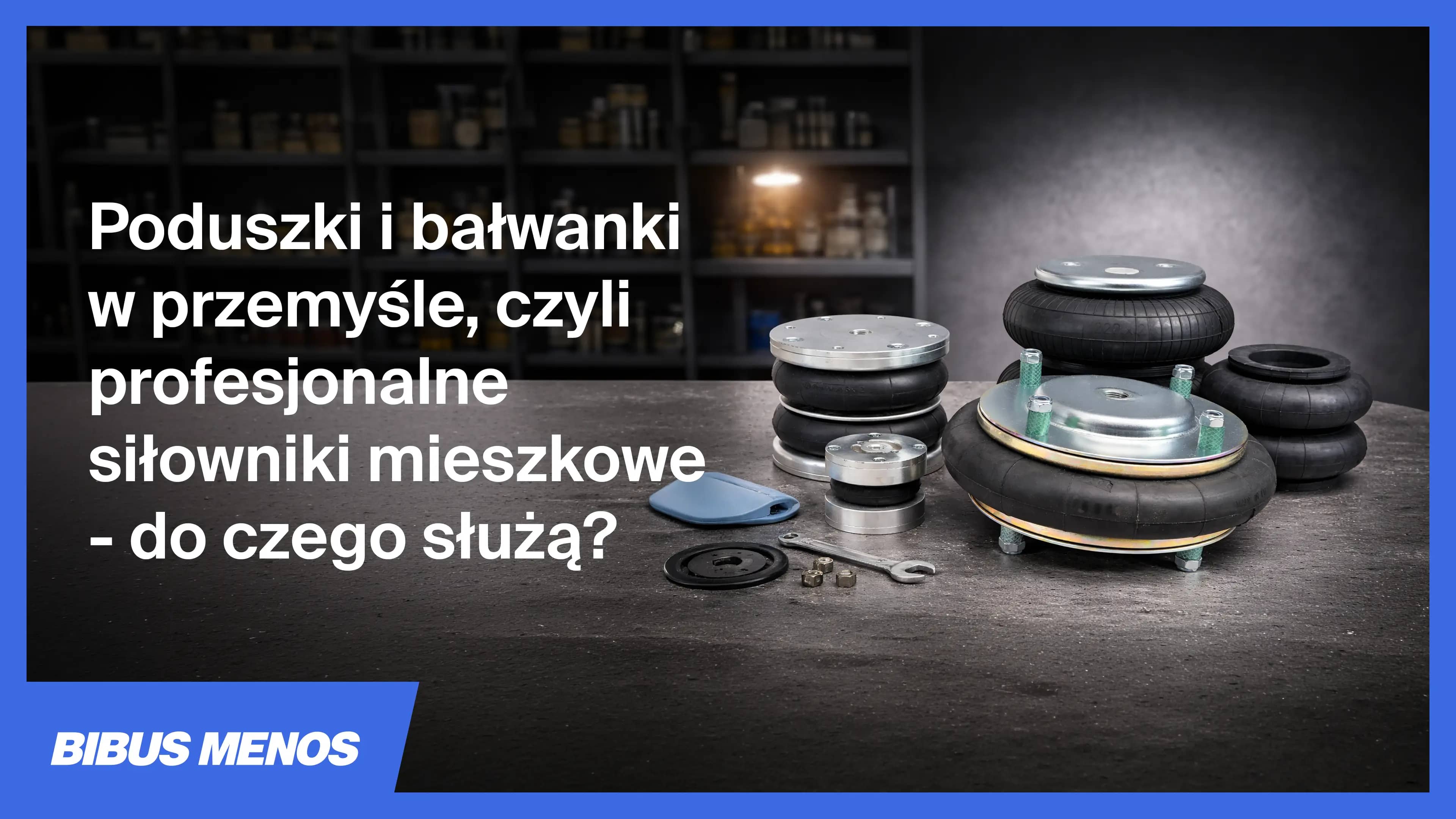 Siłowniki mieszkowe-Cover